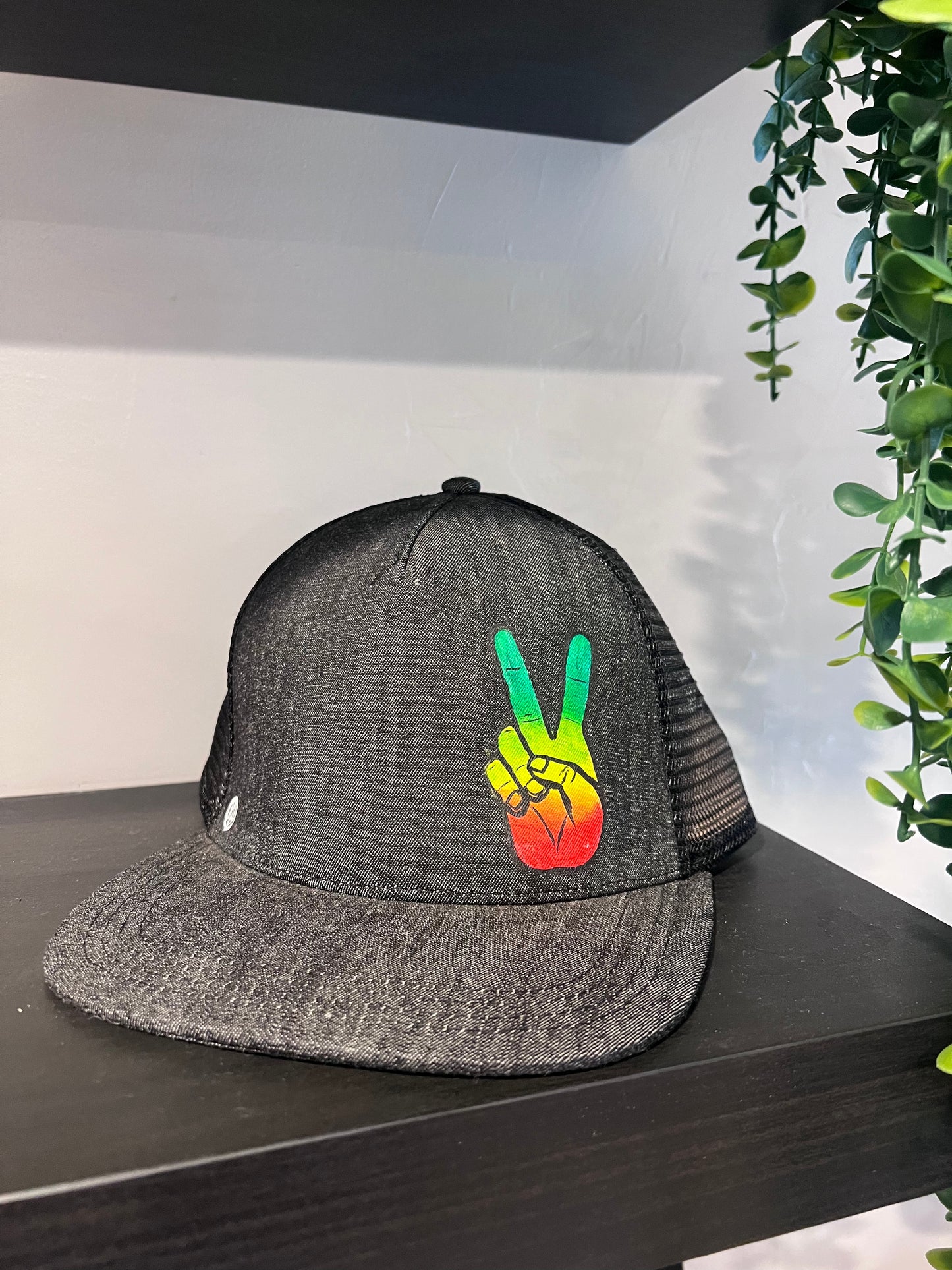 Handpainted Hat - snap back