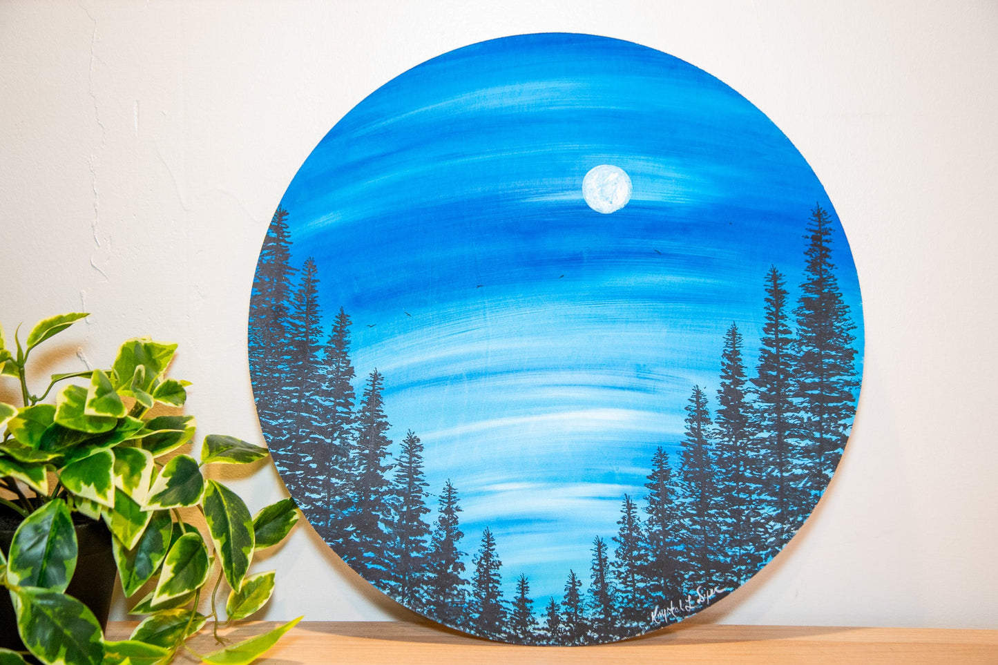 Night Forest