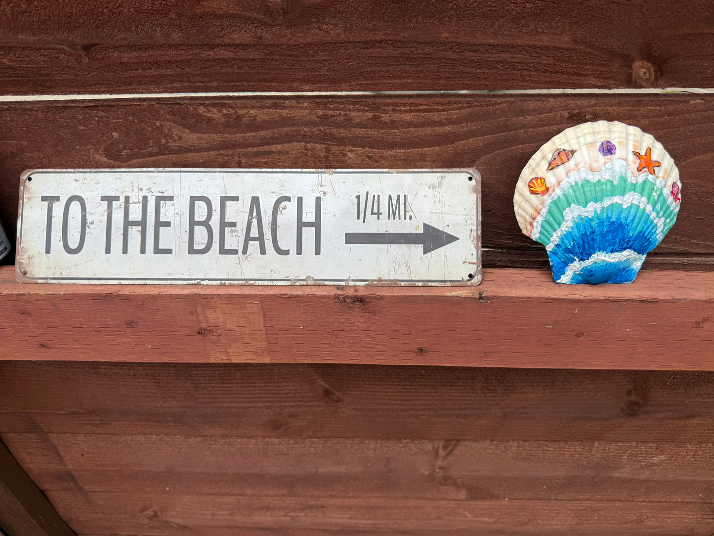Kids Ocean Seashell – June 20, 2026